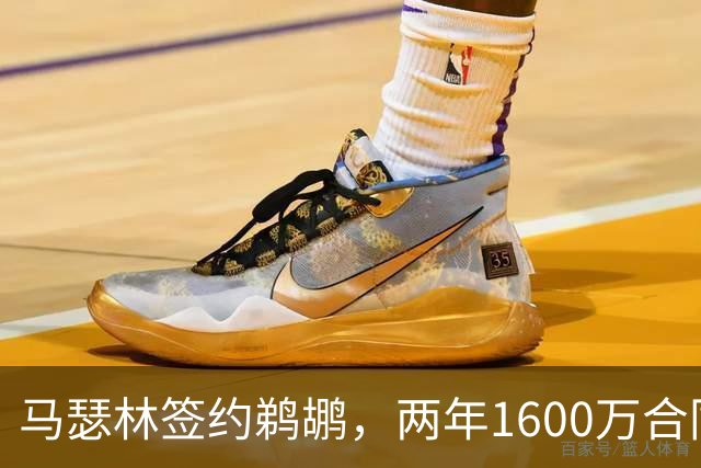 马瑟林签约鹈鹕，两年1600万合同引关注